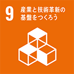 SDG 09