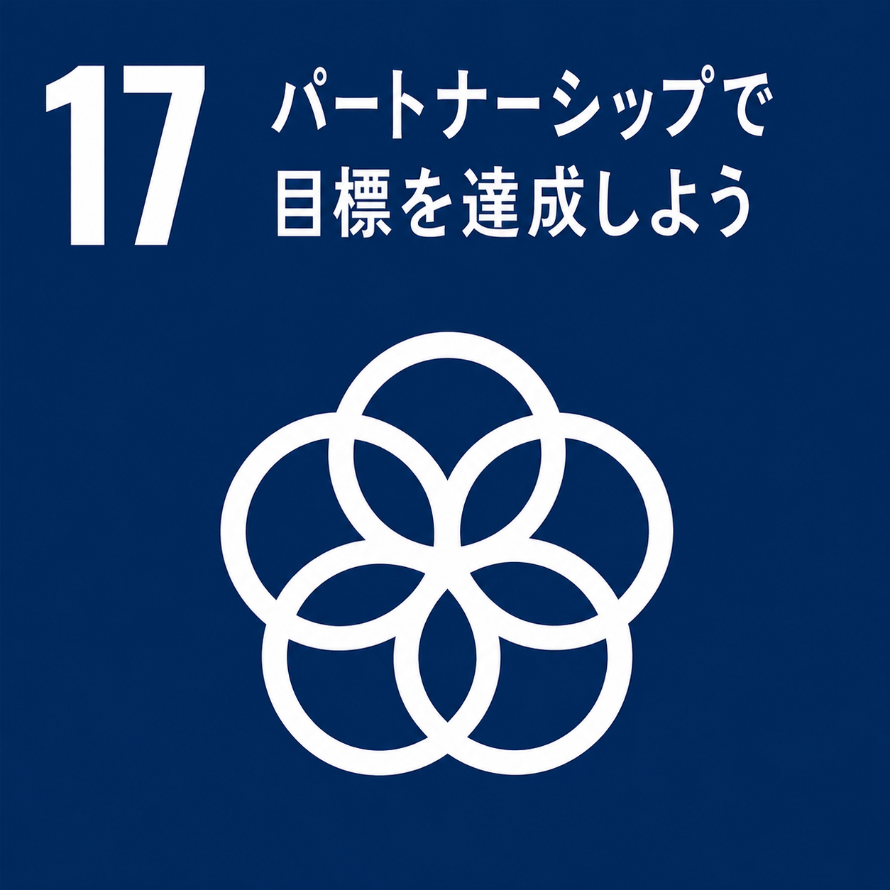SDG 17