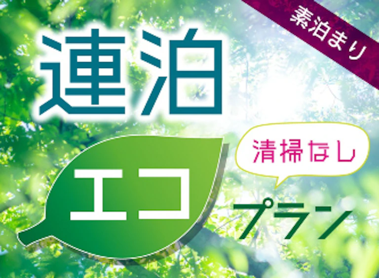 【連泊ECO割】お掃除は3日に1回のECOプラン＜素泊まり＞