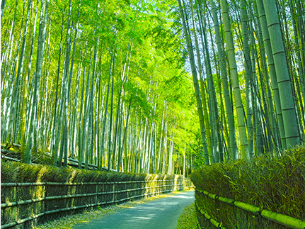 Kyoto in summer