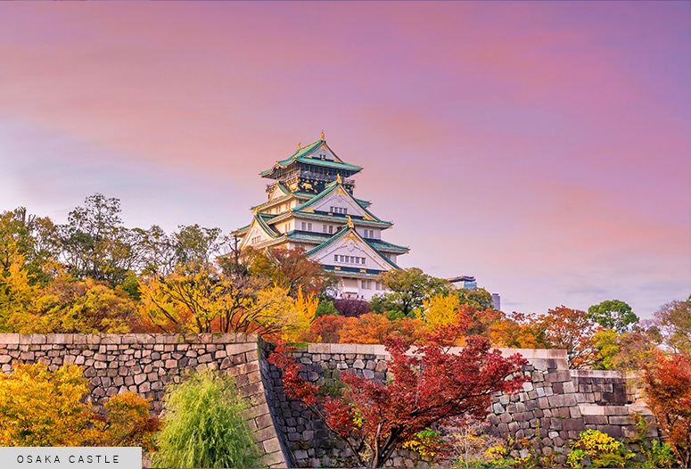 Osaka castle