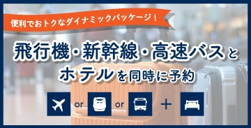 ダイナミックパッケージ