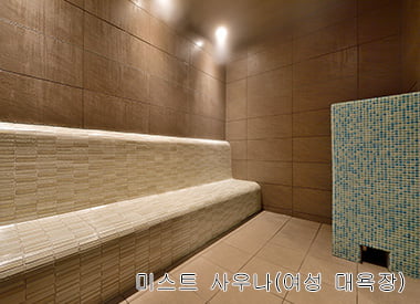 미스트 사우나(여성 대욕장)